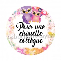 pour une chouette collègue