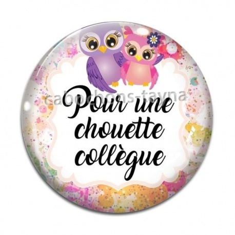 Cabochon Verre - pour une chouette collègue