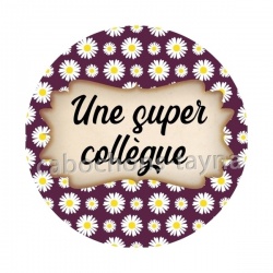  super collègue