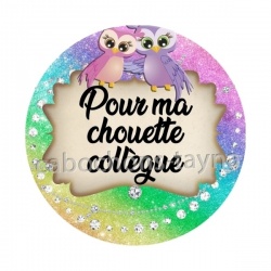 pour ma chouette collègue