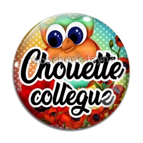 Cabochon Verre - chouette collègue