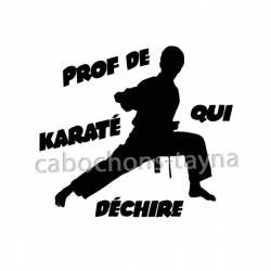 prof de karaté qui déchire