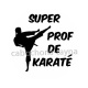 super prof de karaté