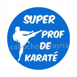 super prof de karaté