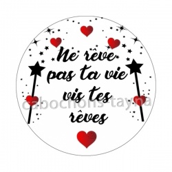 ne rêve pas ta vie, vis tes rêves
