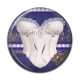 Cabochon Résine - corsé