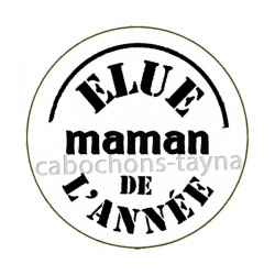 elue maman de l'année