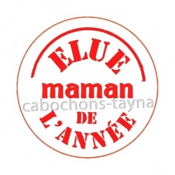 elue maman de l'année