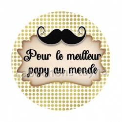 pour le meilleur papy au monde