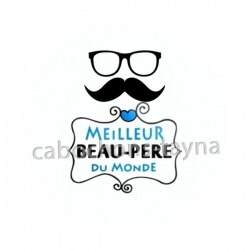 meilleur beau pere du monde
