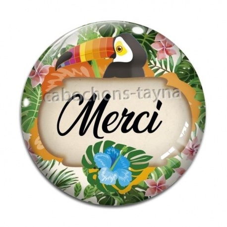 Cabochon Verre - merci