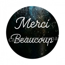 merci beaucoup