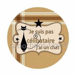 je ne suis pas célibataire j'ai un chat