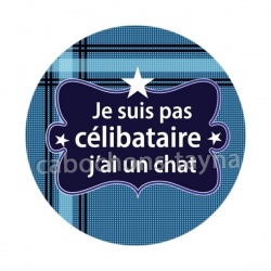 je ne suis pas célibataire j'ai un chat