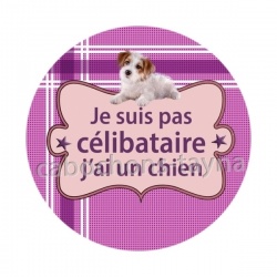 je ne suis pas célibataire j'ai un chien