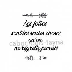 les folies sont les seules choses qu'on ne regrette jamais