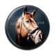 Cabochon Résine - cheval