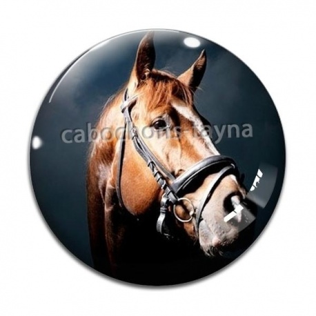 Cabochon Verre - cheval