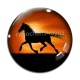 Cabochon Verre - cheval