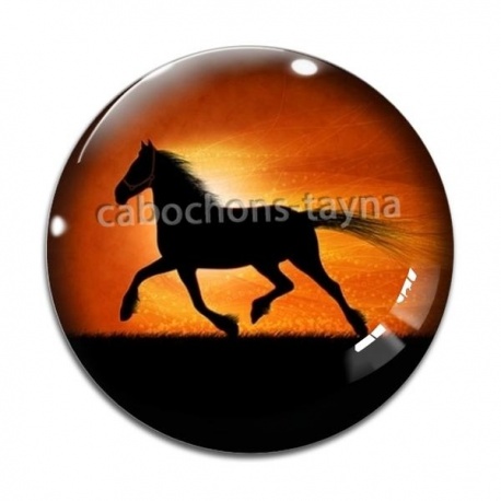 Cabochon Verre - cheval