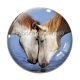 Cabochon Verre - cheval