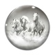 Cabochon Verre - cheval
