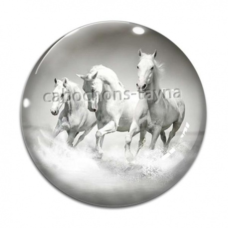 Cabochon Verre - cheval