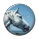 Cabochon Résine - cheval
