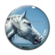 Cabochon Verre - cheval