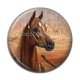 Cabochon Résine - cheval