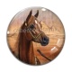 Cabochon Verre - cheval