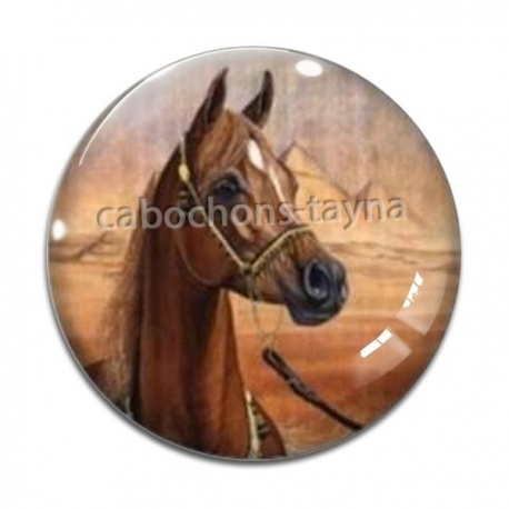 Cabochon Verre - cheval