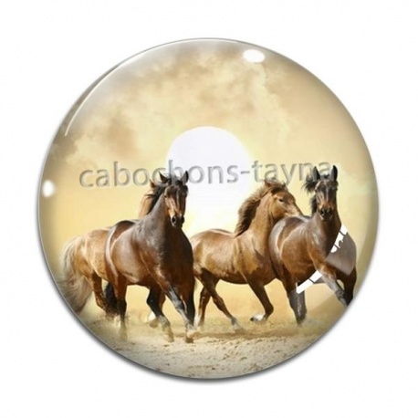 Cabochon Verre - cheval