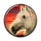 Cabochon Résine - cheval