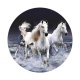 cheval