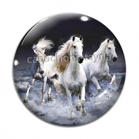 Cabochon Verre - cheval