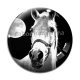 Cabochon Verre - cheval