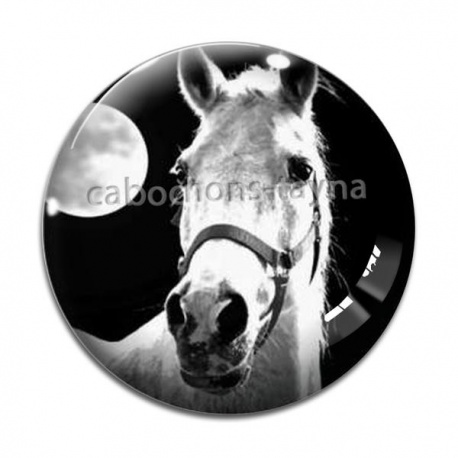 Cabochon Verre - cheval