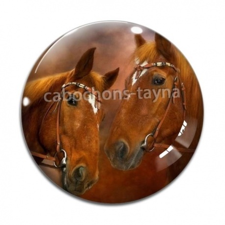 Cabochon Verre - cheval