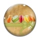 Cabochon Verre - macaron