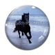 Cabochon Verre - cheval