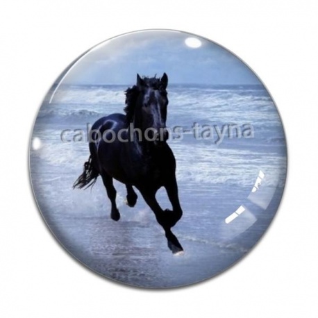 Cabochon Verre - cheval