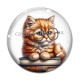Cabochon Verre - chat lunette