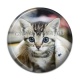 Cabochon Résine - chaton