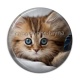 Cabochon Résine - chaton