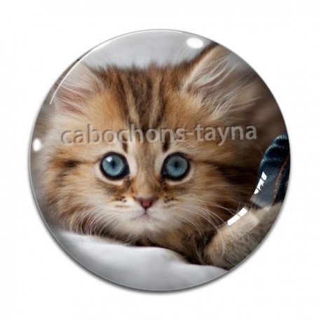 Cabochon Verre - chaton