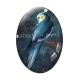 Cabochon Verre Ovale - oiseau perruche