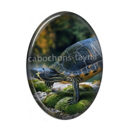 Cabochon Résine Ovale - tortue