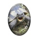 Cabochon Verre Ovale - tortue