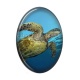 tortue